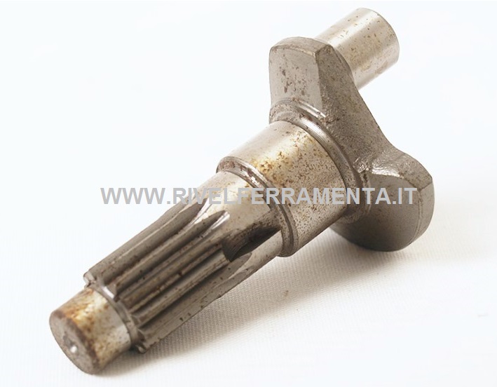 MK321726-4 MK321726-4